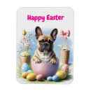 Recherche de french bulldog magnete Bouledogue français