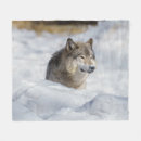 Suche nach wolf im schnee decken Arktisch