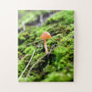 Recherche de minuscule puzzles Champignon