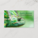 Recherche de caméléon cartes visite Reptile