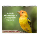 Suche nach vogel kalender Landschaftlich