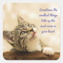 Recherche de compagnon autocollants Chaton