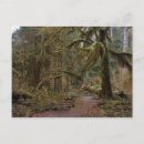 Suche nach saal postkarten Olympischer nationalpark