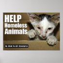 Suche nach tierplakat Katze