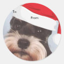 Recherche de noël photo autocollants Personnalisés