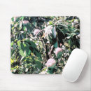 Suche nach obstbaum mousepads Obstbäume