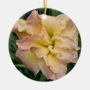 Recherche de pluriannuels Fleurs