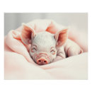 Recherche de suis endormi posters Mother to be