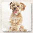 Suche nach canis untersetzer Tier