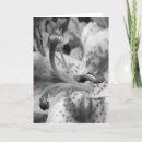 Suche nach sinnliche karten Blume