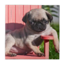 Suche nach genuss fliesen Spaß