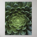 Suche nach natürliche welt poster Blätter