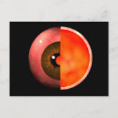 Recherche de disque cartes postales Rouge