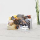 Suche nach sick karten Hund