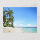 Recherche de arbre exotique cartes postales Plage