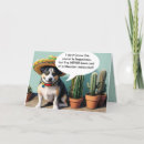 Suche nach perro Chihuahua