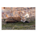 Recherche de moisson posters Automne