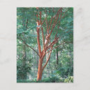 Recherche de nue posters Arbre