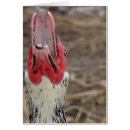 Suche nach laughing Fotografie
