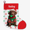 Recherche de puppys chaussette de noël Amoureux des chiens