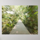 Suche nach rainforest poster Outdoors