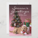 Recherche de récipient vœux cartes Golden retriever