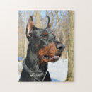 Recherche de doberman puzzles Dobie