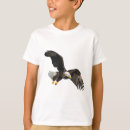 Recherche de nous aigle photographie Symbole américain
