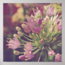 Suche nach pretty poster Photography