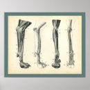 Recherche de canne vintage posters Illustration