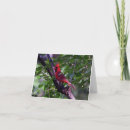 Recherche de plume d ange cartes invitations Sympathie