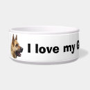Recherche de german shepherd Canine