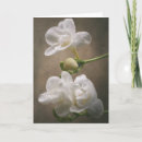 Suche nach malerisch karten Blume