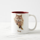 Recherche de renard rouge tasses Nature