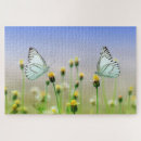 Recherche de belles de papillon Fleurs