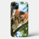 Recherche de chat curieux iphone coques Chaton