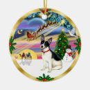 Suche nach rattenfänger ornamente Hunde