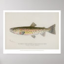 Recherche de poissons vintages posters Marine