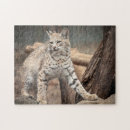 Suche nach der kobold puzzle Große katze