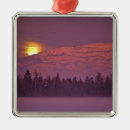 Suche nach vollmond ornamente Winter
