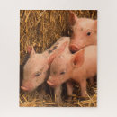 Suche nach ferkel puzzle Rosa