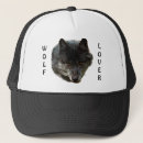 Recherche de loups gris casquettes Faune