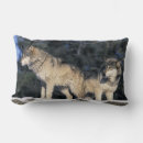Recherche de loup bleu coussins Neige