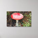 Suche nach pilz leinwandbilder Farbenfroh