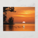 Recherche de photo de palmier cartes postales Nature