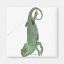 Suche nach chamäleon magnete Reptil