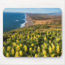 Suche nach strand mousepads Kalifornien