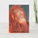 Recherche de orangs outans vœux cartes Zoo