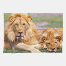 Recherche de lion cuisine linges Sauvage