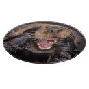 Recherche de loutre planches à découper Vie marine